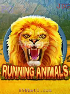 Descubra o Fascinante Mundo de RunningAnimals: O Jogo Que Está Conquistando Dos Jogadores